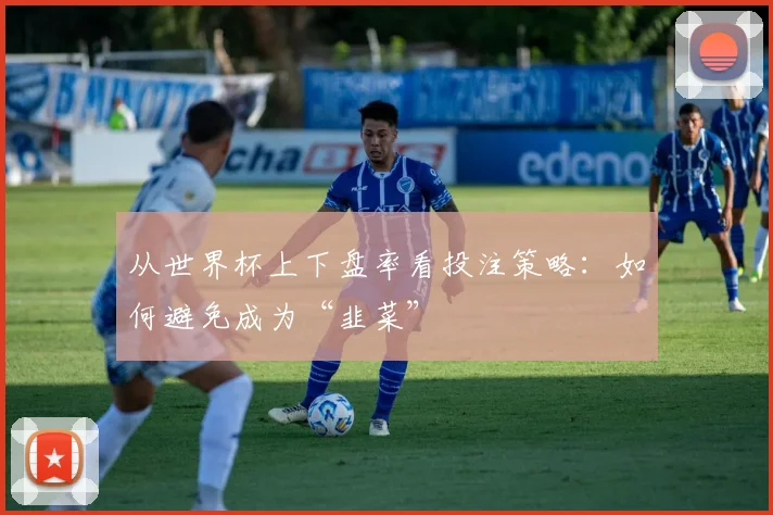 从世界杯上下盘率看投注策略：如何避免成为“韭菜”