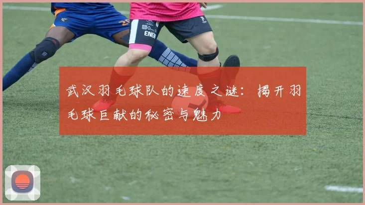 武汉羽毛球队的速度之谜：揭开羽毛球巨献的秘密与魅力